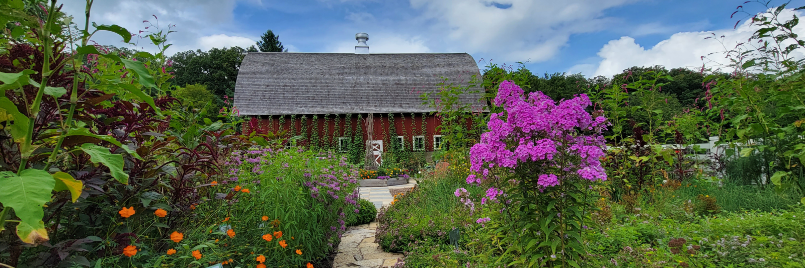 Garden with a red barn in the background.