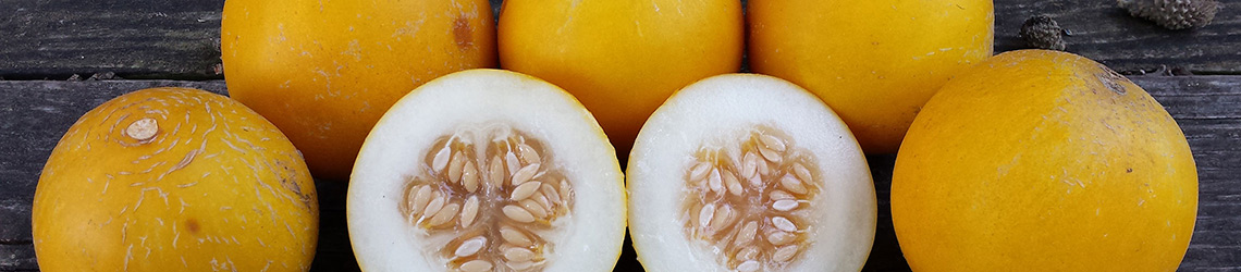 Two round white melon halves with seeds in the center and yellow rinds, surrounded by 5 small whole yellow melons