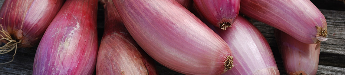 A close-up pile of long vegetables with red-pink skins