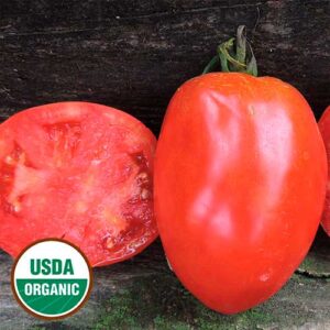 A whole red tomato next to a halved tomato. A round, green and white USDA Organic sticker is in the lower left corner.