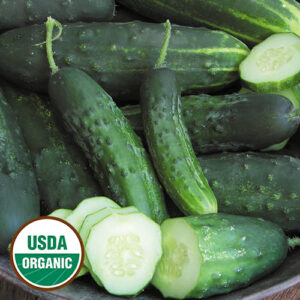 A pile of green cucumbers, one is sliced into circles. A round, green and white USDA Organic sticker is in the lower left corner