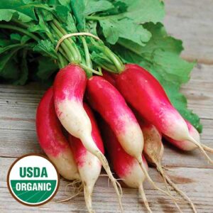 A group of long, red and white vegetables with a long white root and green leafy stems, rubber banded together and lying on a wooden surface. A round, green and white USDA Organic sticker is in the lower left corner
