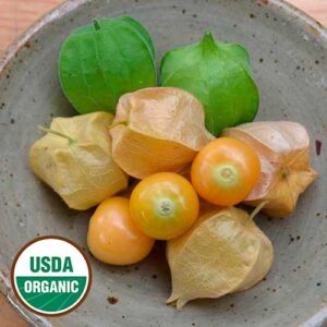 A bowl of small yellow ground cherries, four are in a pale yellow shell and two are in a green shell. Some are out of their shells. A round, green and white USDA Organic sticker is in the lower left corner