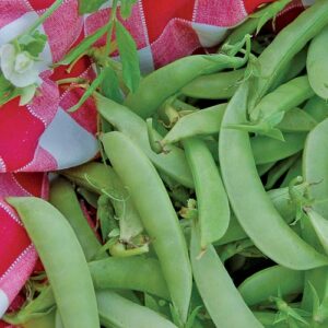 A pile of green snap peas next to a red gingham cloth