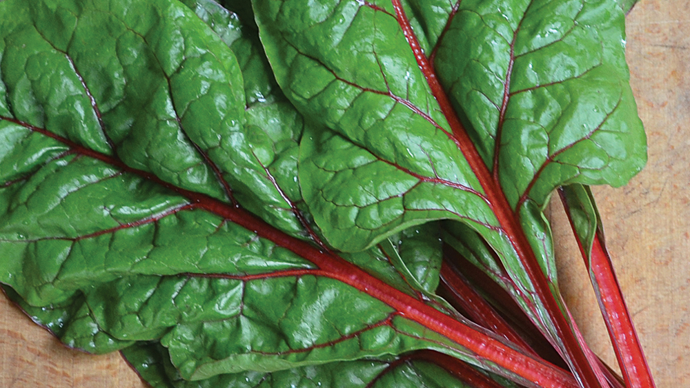 Big leafy greens with bright red stems