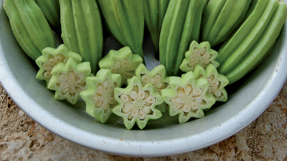 A bowl of whole okra and star-shaped okra slices in a bowl