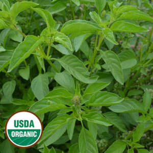 Close up green foliage. A round, green and white USDA Organic sticker in the lower left corner.