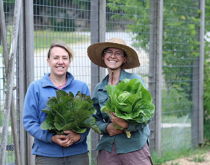 Two women in blue jackets, and pants, one in a wide brimmed hat, hold large heads of lettuce.