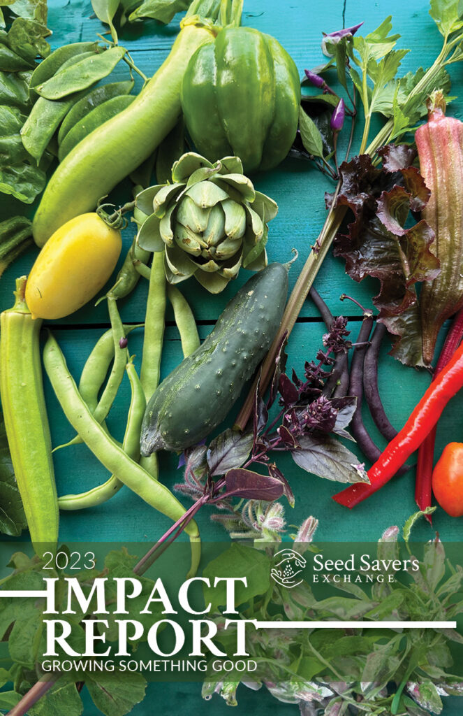 An assortment of vegetables lying on a turquoise–color table, with the words 2023 Impact Report: Growing Something Good, and the Seed Savers Exchange logo at the bottom