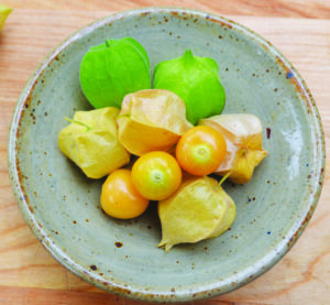 A bowl of small yellow ground cherries, four are in a pale yellow husk and two are in a green husk. Three are without a husk.