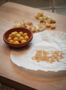 A small bowl of ground cherries next to a pile of husks and a coffee filter with ground cherry seeds