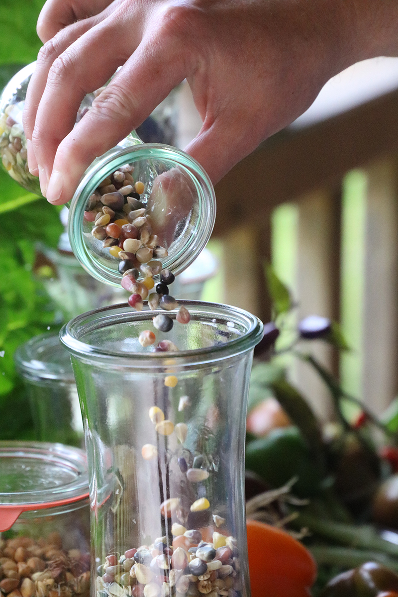 Hand pouring seeds into a glass container
