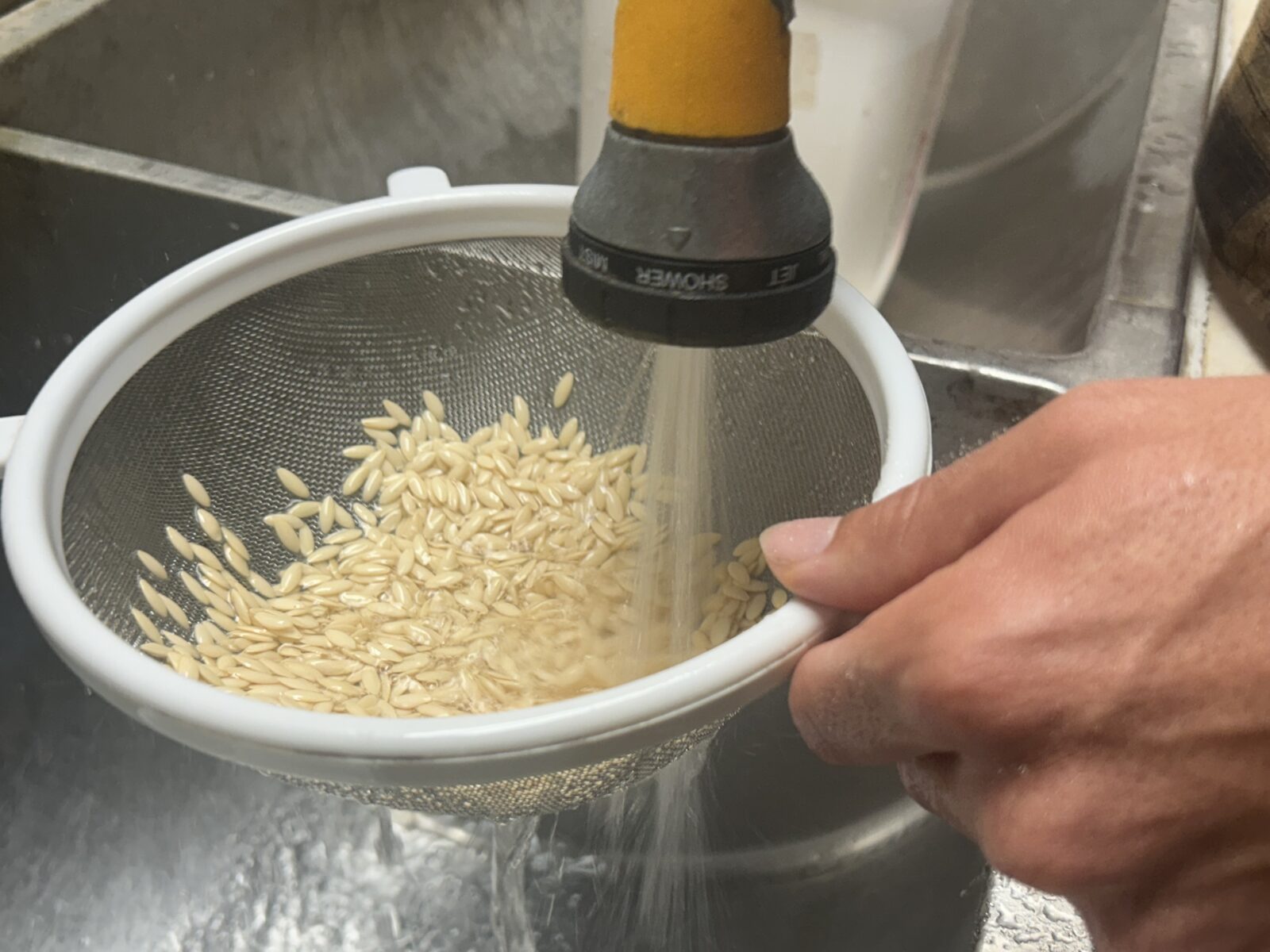 a nozzle sprays water at seeds in a strainer