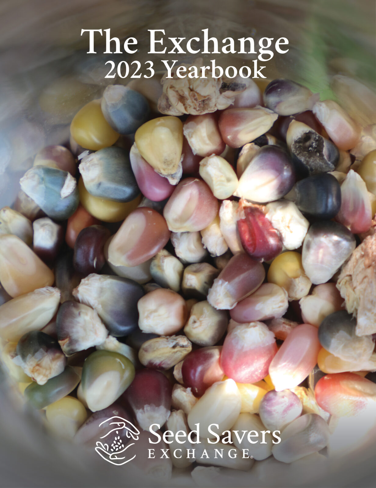 The Exchange 2023 Yearbook