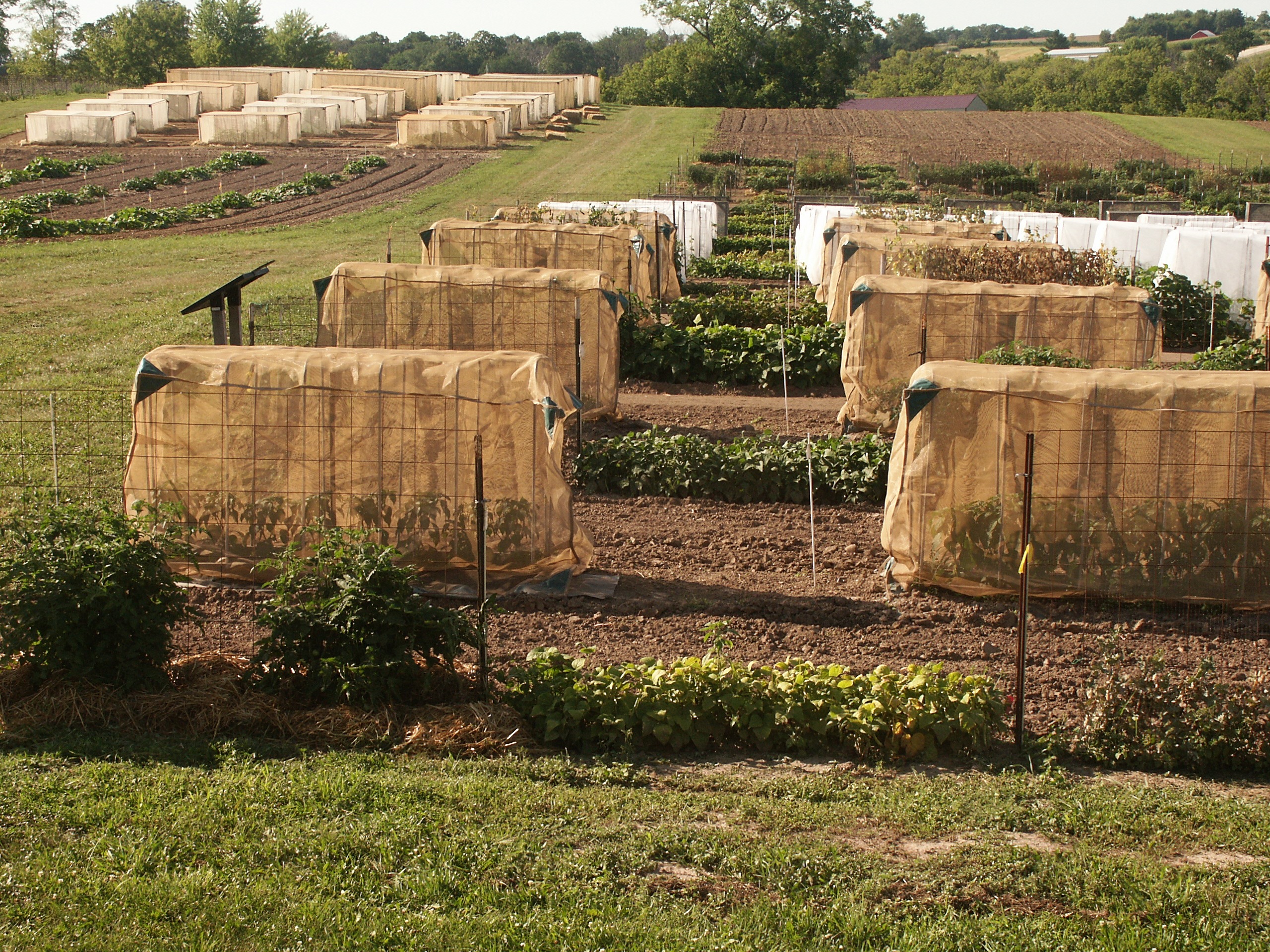 How to Store Seeds — Seed Savers Exchange Blog