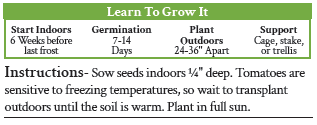 A graphic with growing written growing instructions for a tomato