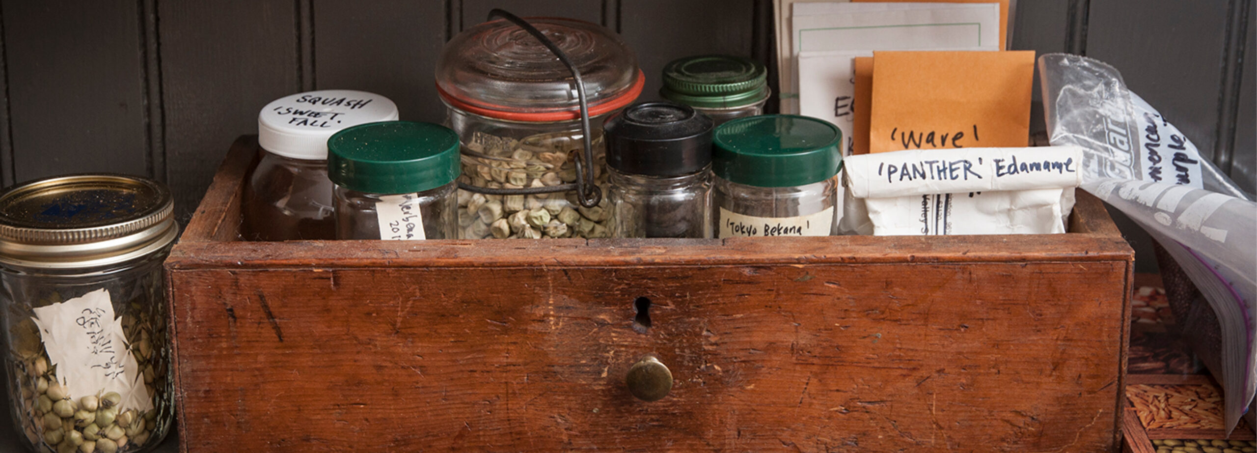 Terrain Hand Carved Seed Storage Box
