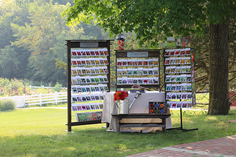 Racks of seed packets under a tree.