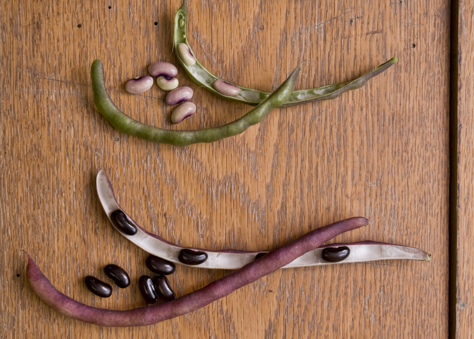 Two shelling beans on a wooden surface, each split in half with the seeds visible