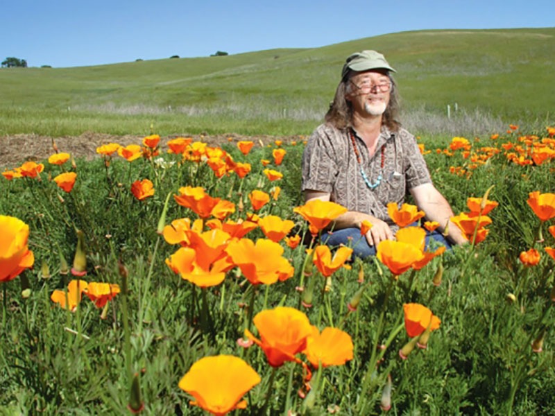 A man sits in a field of orange flowers