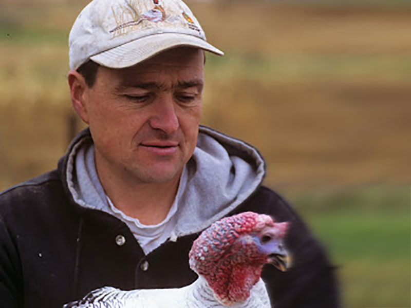 A man in a baseball cap looks down as he holds a turkey in his arms