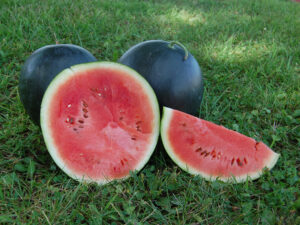 Several whole watermelons sit behind a halved watermelon and a watermelon slice on some grass