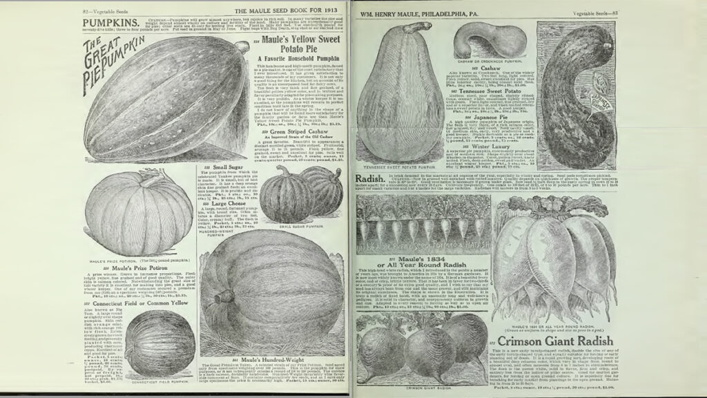 A black and white spread from a magazine catalog selling seeds for various vegetables, with illustrations of squashes, carrots, and radishes