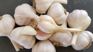 A cluster of white with red streaks garlic bulbs with one garlic clove resting on top