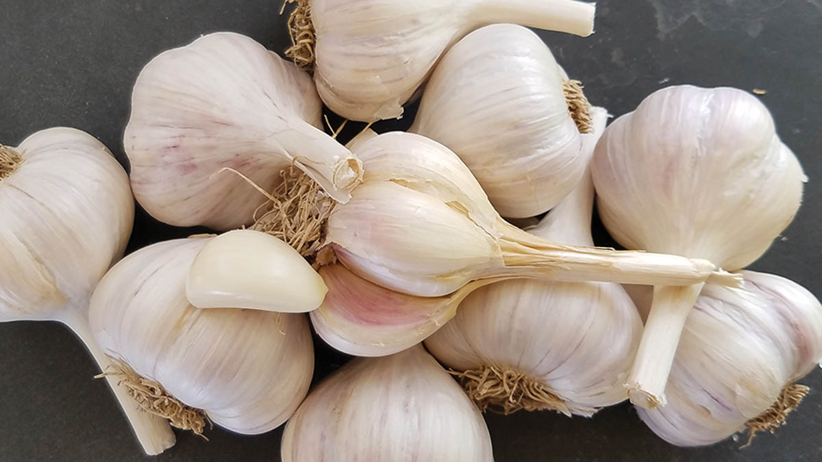 A cluster of garlic bulbs with one garlic clove on top