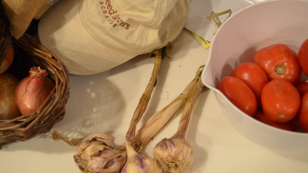 Several bulbs of garlic lie on a counter next to a hat, a basket of onions, and a bowl of tomatoes