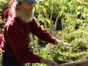 A man in a red shirt tends to a garden