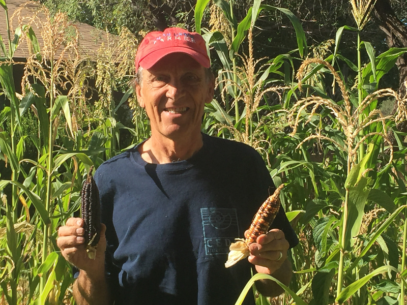 Man in red baseball cap smiles into camera while holding ears of corn.