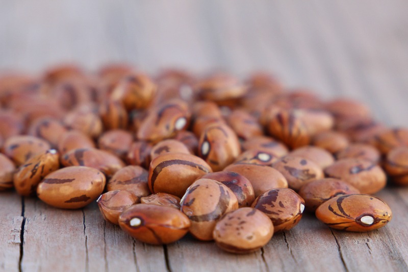 A pile of brown beans sit on a wood surface