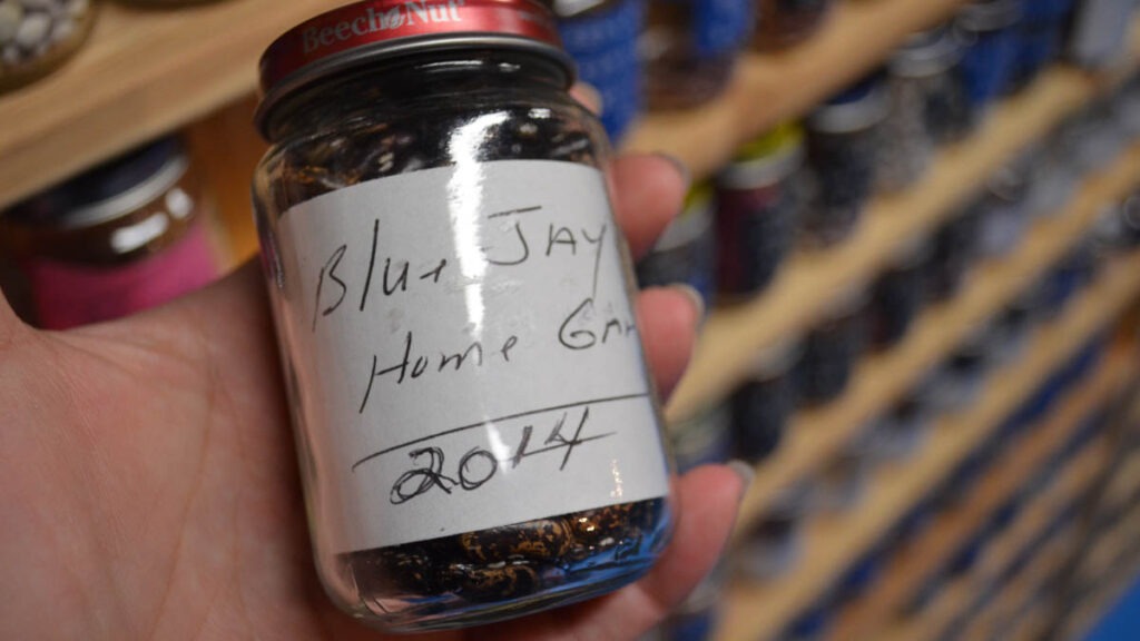 A hand holds a small jar of dark beans labeled "Blue Jay Home 2014"