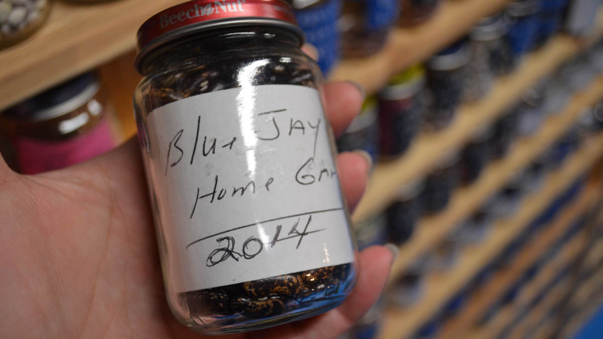 A hand holds a small jar of dark beans labeled "Blue Jay Home 2014"