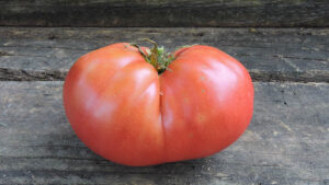 A tomato sits on a wood surface