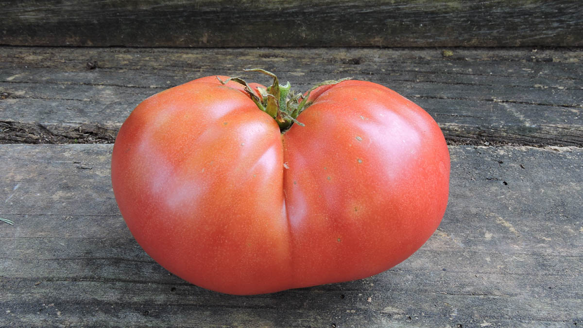 A tomato sits on a wood surface