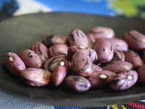 A small bowl of dried red beans