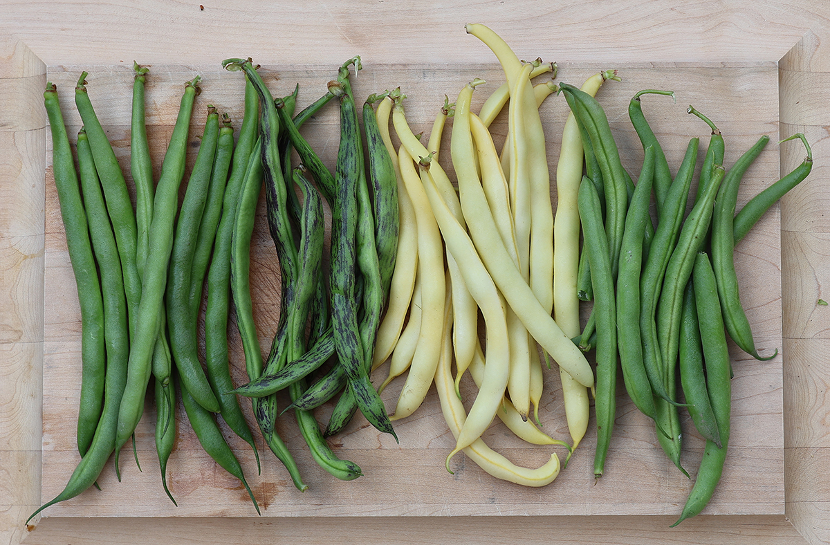 Piles of four different kinds of snap beans arranged neatly on a wood cutting board