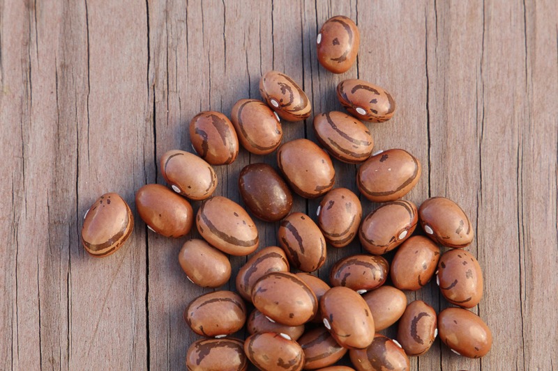 Brown beans lying on a wooden surface