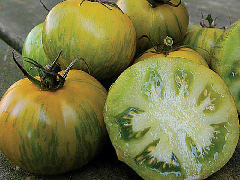 A group of green and yellow striped tomatoes on a wooden surface, one tomato is halved to show the seeds inside