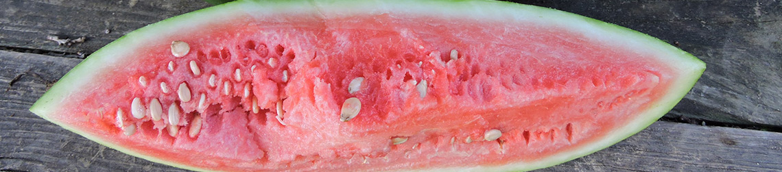 A long slice of watermelon on a table