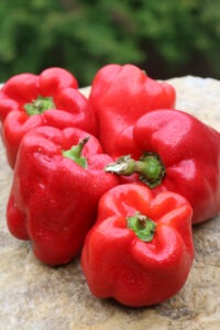 A group of five red bell peppers with short green stems on a rock