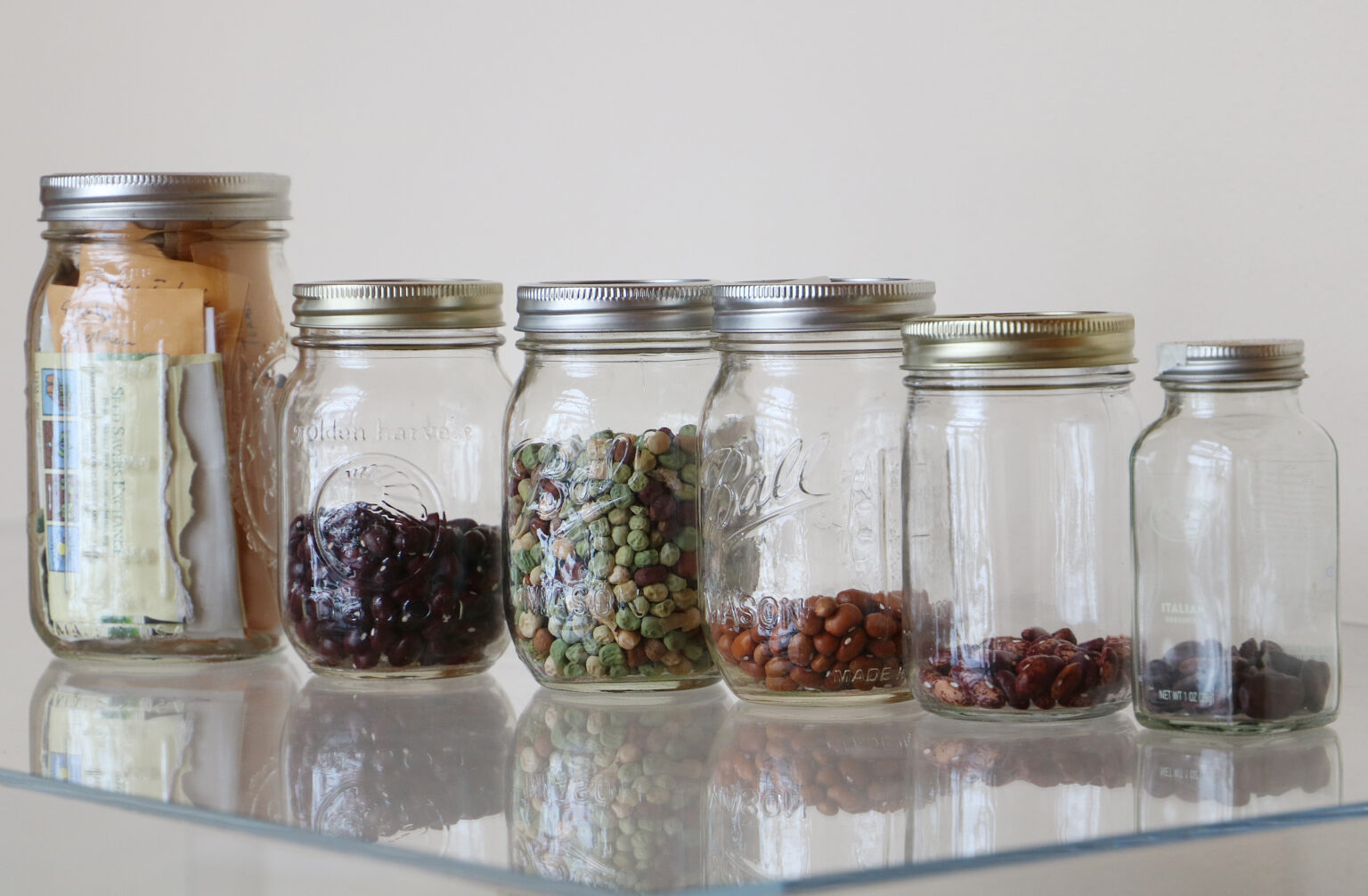 How to Store Seeds - SeedSavers