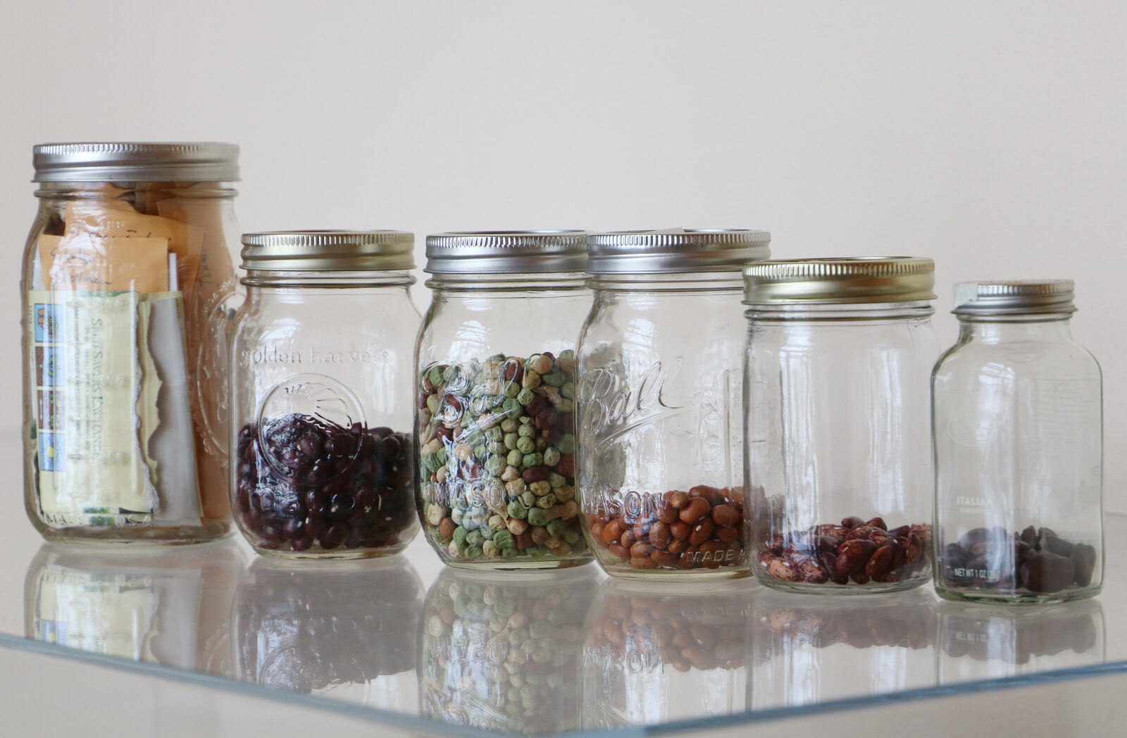 Several glass jars with a variety of different seeds sit in a row on a glass shelf