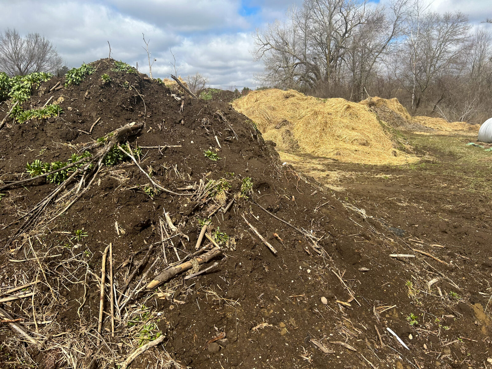 A large pile of dark, rich compost, with more large piles covered in straw in the background.