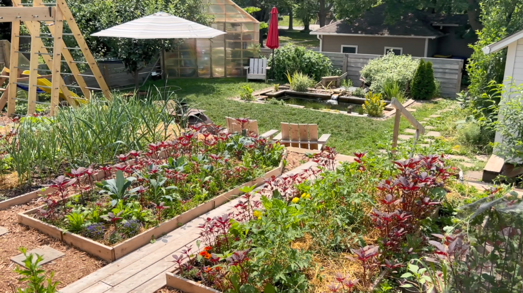 Several garden beds with plants in a yard, in front of a wooden structure, umbrella, greenhouse, pond, and several chairs.