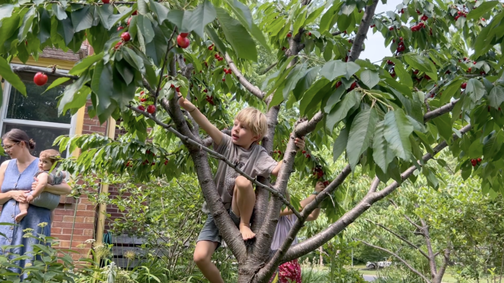 A child climbs a fruit tree. Behind him is a house, a woman holding a baby, and another child picking fruit from the tree