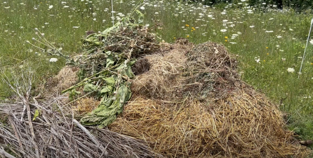 A pile of greens, sticks, and straw in front of a flowering field