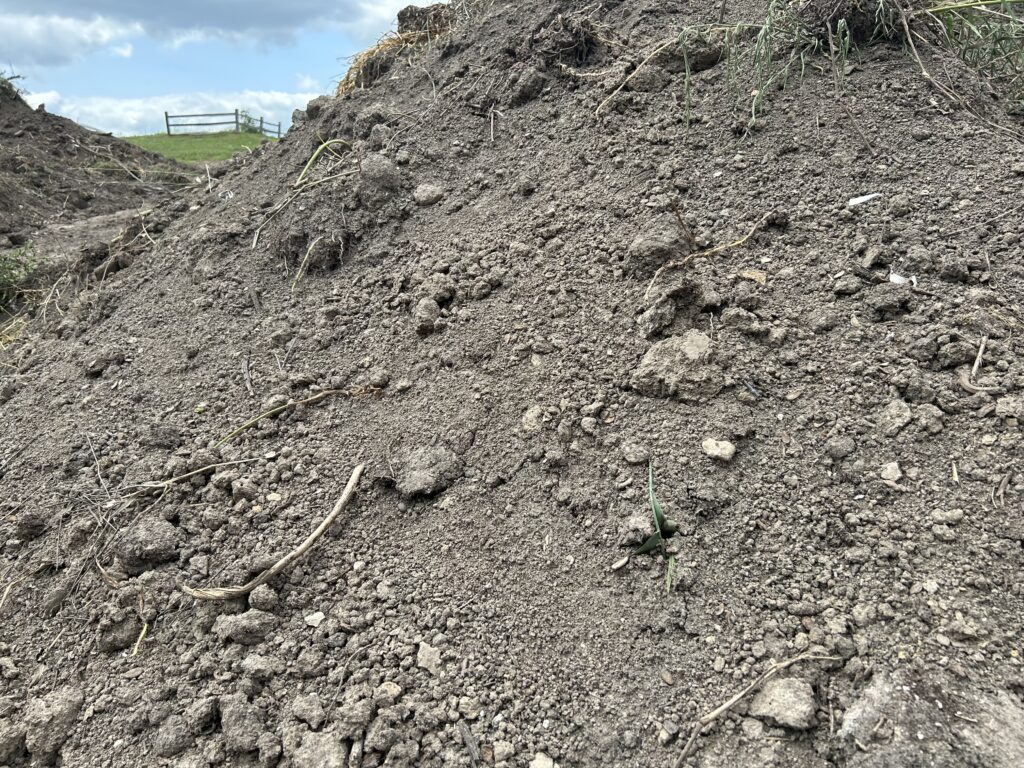 Large pile of dirt-like compost